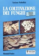 Luciano PerbelliniLa coltivazione dei funghi
