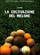 Pietro Siviero La coltivazione del melone immagine non disponibile