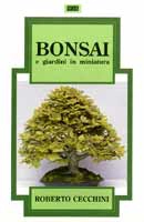 Roberto Cecchini Bonsai immagine non disponibile