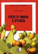 Ottavio Cacioppo Fico d'India e Pitaya immagine non disponibile