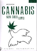 Bernardo Parrella Cannabis  immagine non disponibile