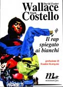 David Foster Wallace, Mark Costello - Il Rap spiegato ai bianchi