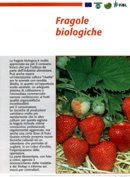 AIAB Fragole biologiche immagine non disponibile