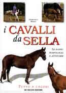 Domenico Mario - I cavalli da sella