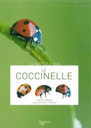 Vincent Albouy - Le coccinelle