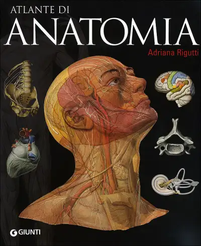 Adriana Rigutti Atlante di anatomia immagine non disponibile