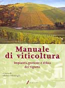 a cura di Matteo Marenghi Manuale di viticoltura immagine non disponibile