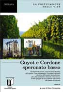 Enzo Corazzina DVD La coltivazione della vite : guyot e cordone speronato basso  immagine non disponibile