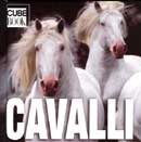 Autori Vari - Cavalli - cube book