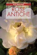 Anna Maria Bosi - Rose antiche