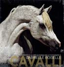 Gabrielle Boiselle Cavalli - il loro temperamento e la loro eleganza nelle fotografie di Gabrielle Boiselle immagine non disponibile