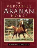 Rosemary Archer - The versatile arabian horse