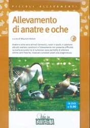 Maurizio Arduin Allevamento di anatre e oche DVD immagine non disponibile