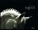 Tim Flach - EQUUS