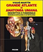 Viguè - Martìn Grande atlante di anatomia umana immagine non disponibile