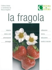 aa.vv. La fragola immagine non disponibile