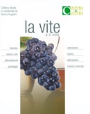 a.a.v.v. La vite e il vino immagine non disponibile