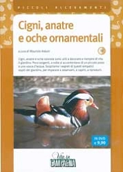 Maurizio Arduin - Cigni, anatre e oche ornamentali DVD