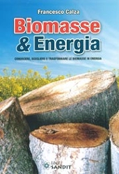 Francesco Calza Biomasse & energia immagine non disponibile