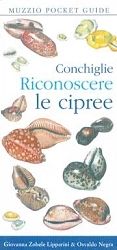 Giovanna Zobele Lipparini, Osvaldo Negra Conchiglie - riconoscere le cipree immagine non disponibile