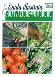 Davide Boscaini, Aldo Pollini Coltivazione pomodoro immagine non disponibile