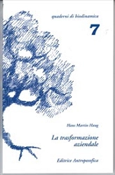 Hans Martin Haug La trasformazione aziendale immagine non disponibile