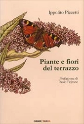 Ippolito Pizzetti Piante  fiori del terrazzo immagine non disponibile