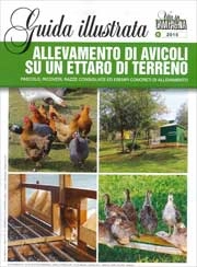 Maurizio Arduin - Allevamento di avicoli su un ettaro di terreno