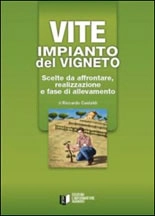 Riccardo Castaldi Vite - impianto del vigneto immagine non disponibile