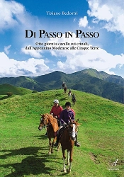 Tiziano Bedostri - Di passo in passo