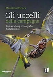 Maurizio Bonora Gli uccelli della campagna immagine non disponibile