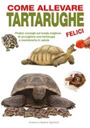 Andrew e Nadine Highfield Come allevare tartarughe felici immagine non disponibile