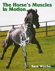 Sara Wyche The horse's muscles in motion immagine non disponibile