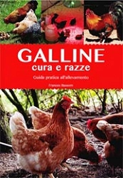 Francesco Bassom Galline - cura e razze immagine non disponibile