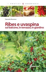 Giancarlo Bounous Ribes e uvaspina immagine non disponibile