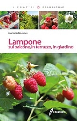 Giancarlo Bounous Lampone immagine non disponibile