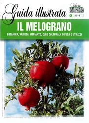 a cura di Ferdinando Cossio e Vito Vitelli - Il Melograno