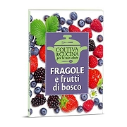 Eliana Ferioli Fragole e frutti di bosco immagine non disponibile