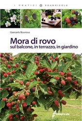 Giancarlo Bounous - Mora di rovo