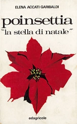 Elena Accati Garibaldi Poinsettia  immagine non disponibile