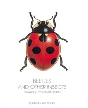 Drawing by Bernard During Beetles and other insects immagine non disponibile