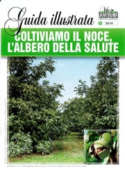 Eugenio Cozzolino Coltiviamo il noce, l'albero della salute immagine non disponibile