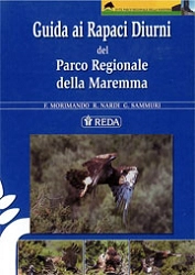 F.Morimando, R.Nardi, G.Sammuri Guida ai rapaci diurni del parco regionale della Maremma immagine non disponibile