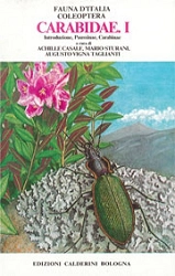 a cura di Achille Casale, Mario Sturani, Augusto Vigna Taglianti  Fauna d'Italia vol. XVIII  - Coleoptera, Carabidae. 1 immagine non disponibile