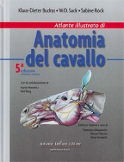 Klaus-Dieter Burdas, W.O.Sack, Sabine Rock Atlante illustrato di anatomia del cavallo immagine non disponibile