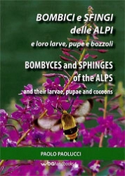 Paolo Paolucci Bombici e sfingi delle Alpi - Bombyces and Sphinges of the Alps immagine non disponibile