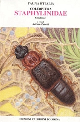 a cura di Adriano Zanetti Fauna d'Italia XXV - Coleoptera Staphylinidae Omaliinae immagine non disponibile