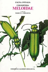 a cura di Marco A. Bologna Fauna d'Italia XXVIII - Coleoptera Meloidae immagine non disponibile