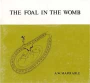 A.W.Marrable The foal in the womb immagine non disponibile