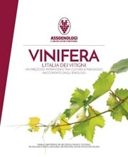 A.A.V.V. Vinifera l'Italia dei vitigni immagine non disponibile